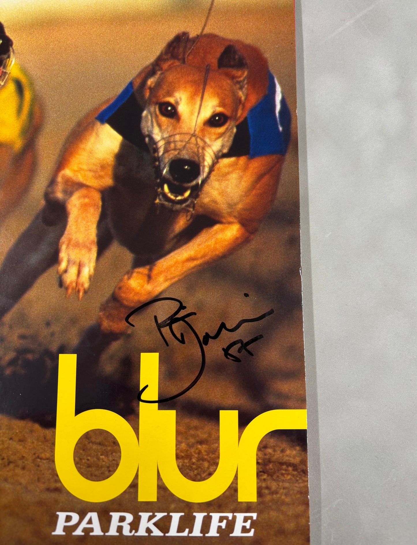 Phil Daniels 'Blur' Signed Parklife 12'' Vinyl with COA (1)