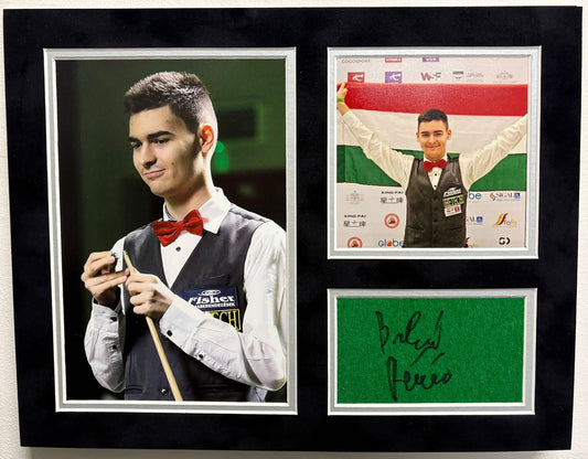 First Hungarian Professional Snooker Player Bulcsu Revesz Signed Table Baize Display + COA