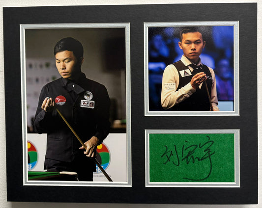 Professional Snooker Player Liu Hongyu Signed Table Baize Display + Dealer COA