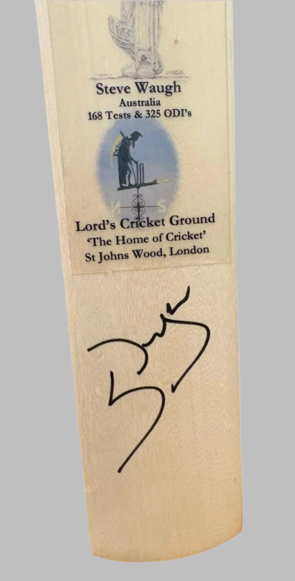 Steve Waugh Australian Ashes Legend RARE Signed Mini Cricket Bat + Dealer COA