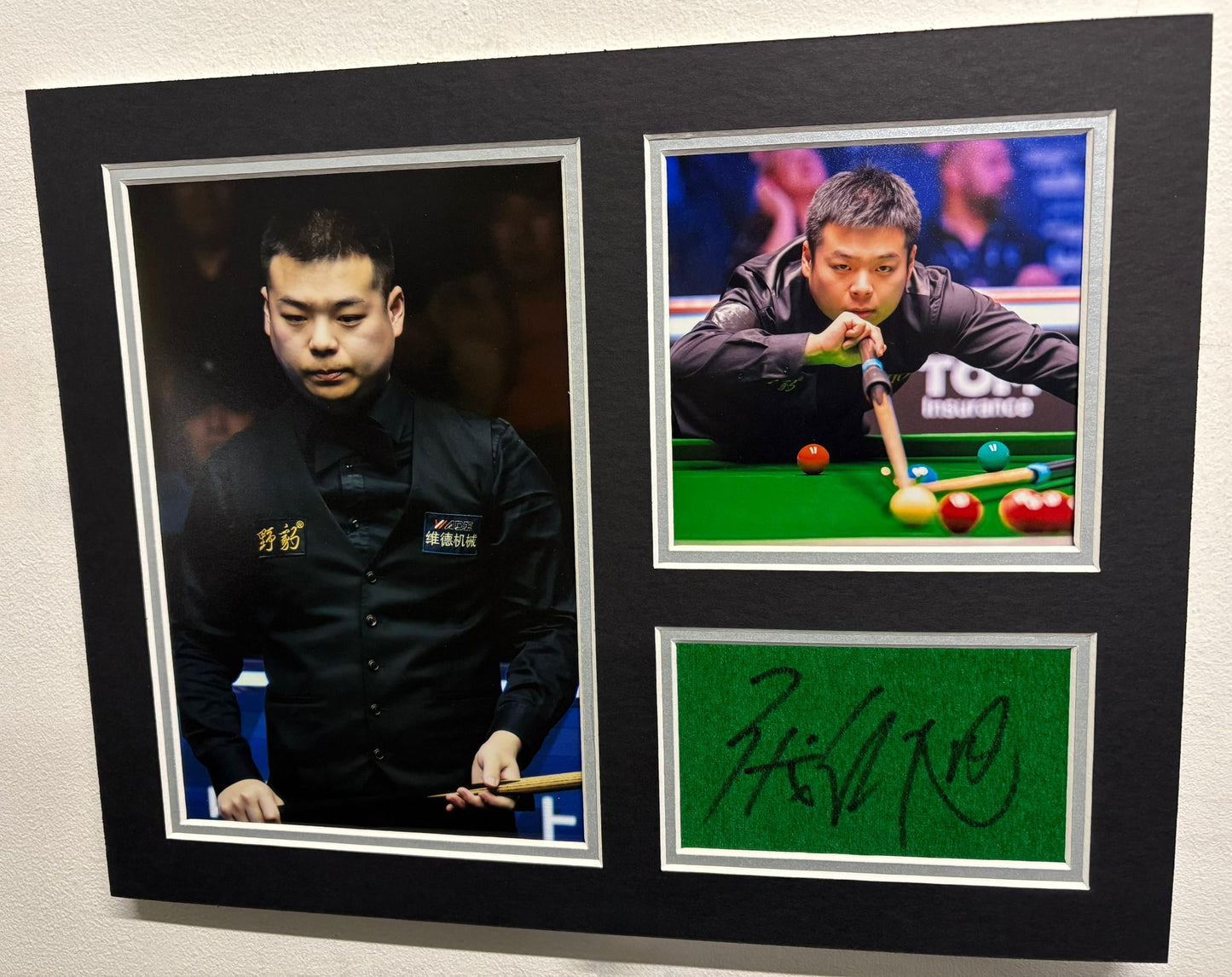 Professional Snooker Player Pang Junxu Signed Green Table Baize Display + Dealer COA