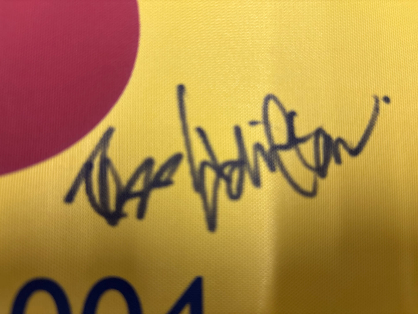 Todd Hamilton Winner Signed 2004 Open at Royal Troon Golf Flag + Dealer COA