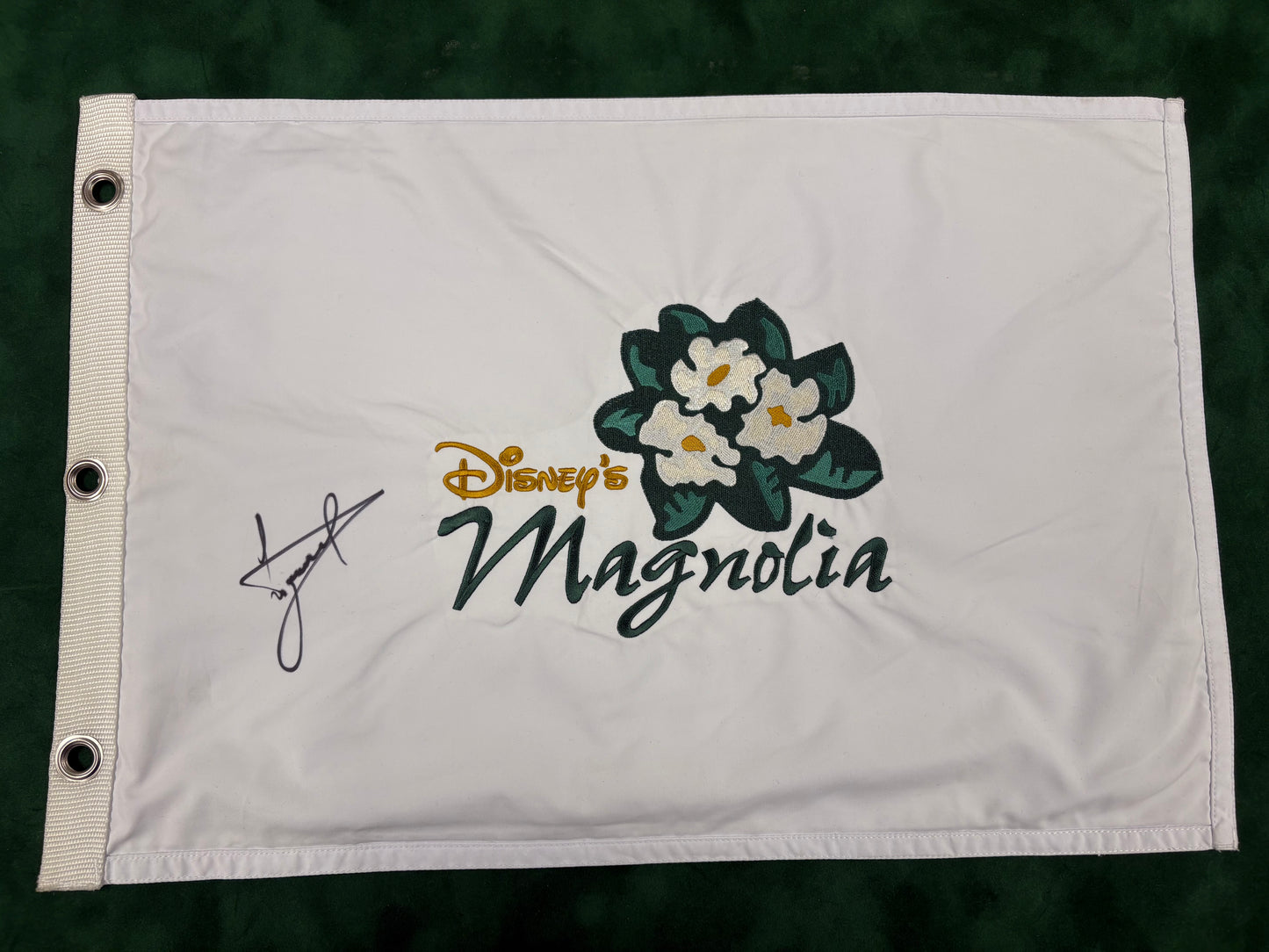 Luke Donald 2011 CMN Hospitals Classic Winner at Disney's Magnolia Signed Golf Flag + Cert