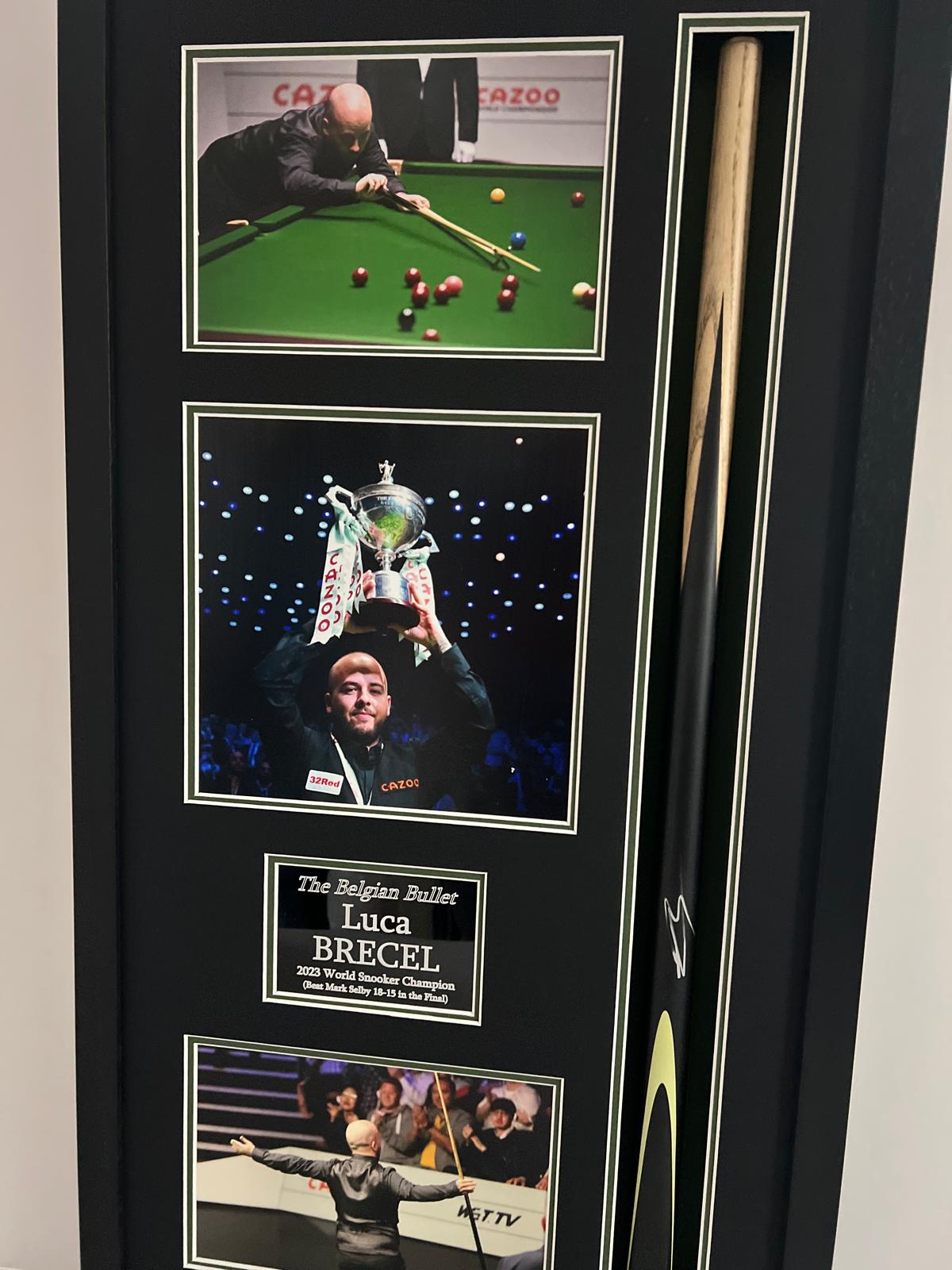 Empty Frame Display for Signed Snooker Cue + Photo Display (Standard Portrait)