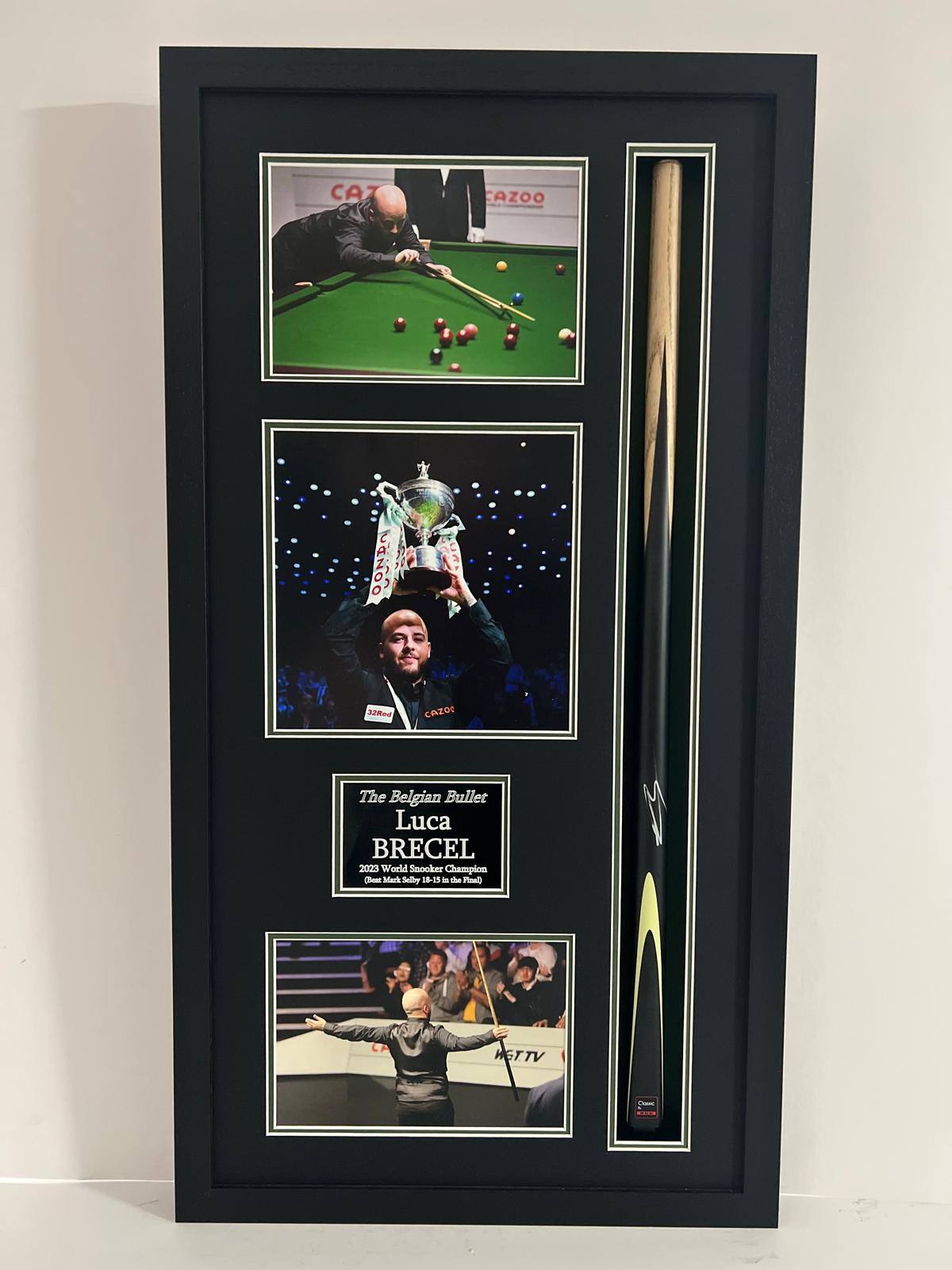 Empty Frame Display for Signed Snooker Cue + Photo Display (Standard Portrait)