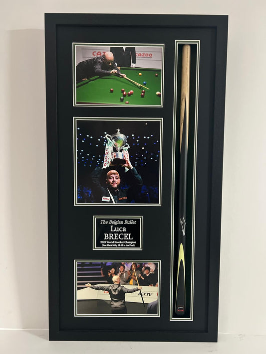 Empty Frame Display for Signed Snooker Cue + Photo Display (Standard Portrait)